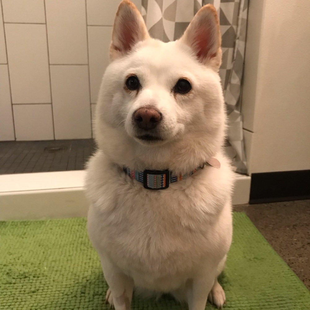 Meet your Posher, Charlton